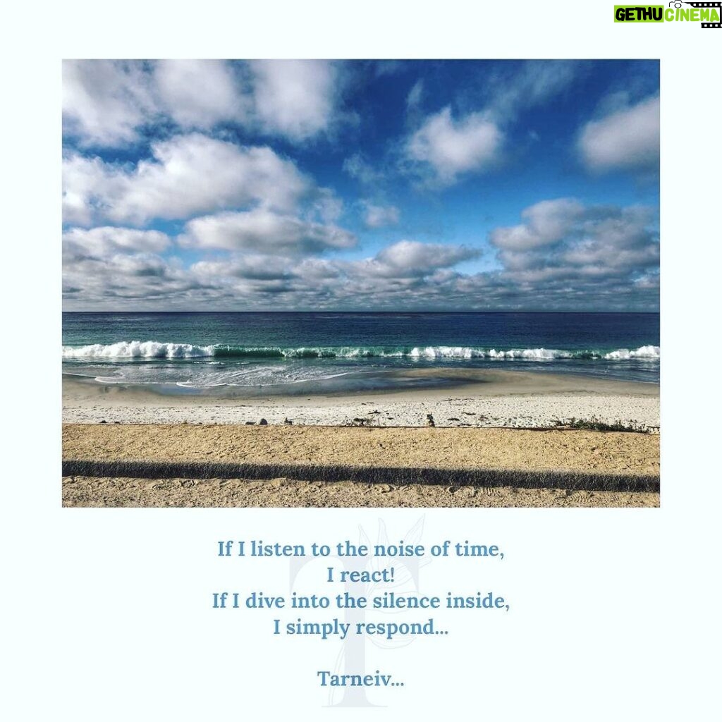 Mugdha Godse Instagram - Reacting vs responding ! Beautifully expressed!! To learn about transforming practices and teachings of my Master ‘Tarneiv’ Ji… 🙏🏽🙏🏽🙏🏽 Follow @belly_group #tarneivji #bellymaster #bellymeditation #keditation #meditationpractice #gratitude #gratitudeattitude #gratitudepractice #gratitudequotes #quotes #happines #happinessquotes #positivity #positivevibes #positivequotes #positivemindset #silencequotes #silence #altarofsilence #prayer #peace #faith #joy #bliss #guru #teacher #grateful Pc: @jjvalaya_the.other.side