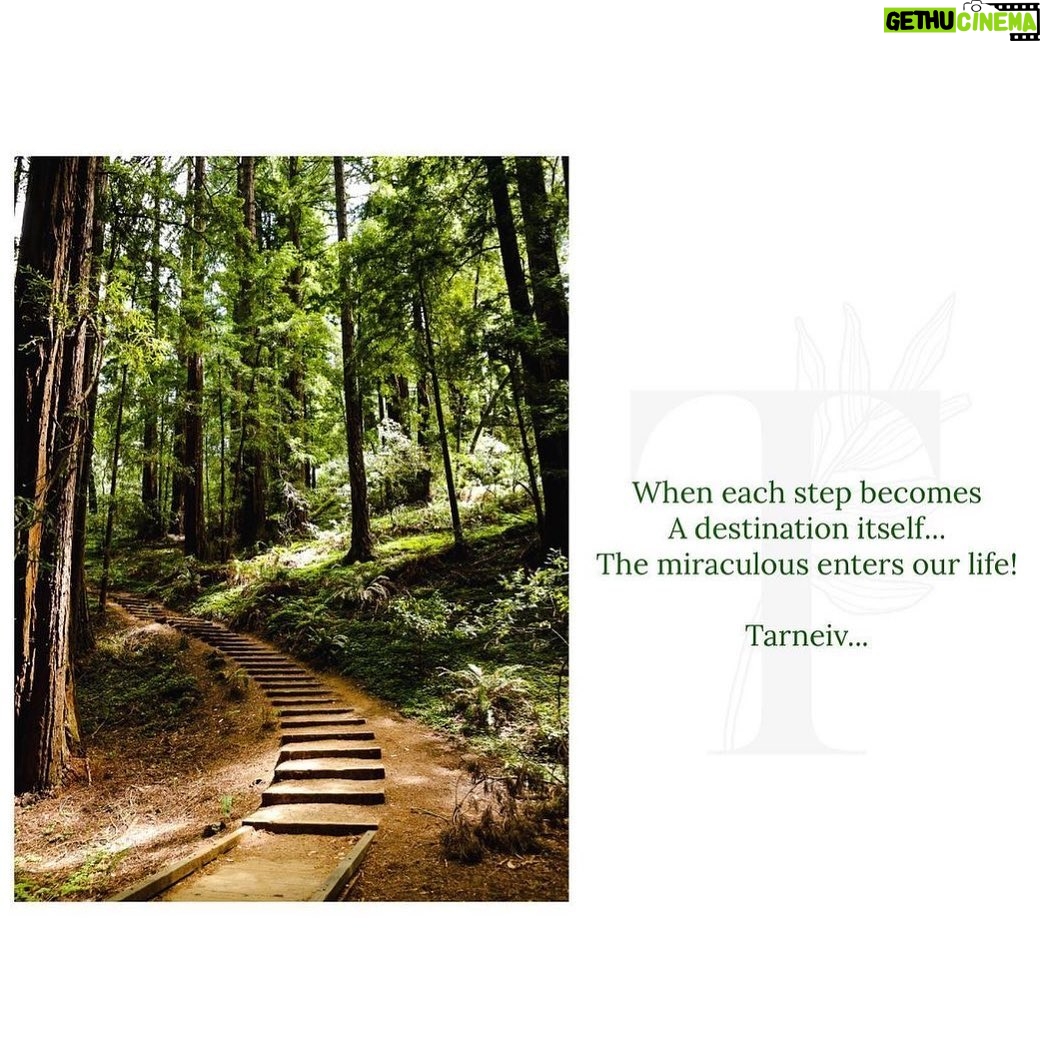 Mugdha Godse Instagram - Grace… ❤️❤️❤️ Poetry from my Master’s Journal 🙏🏽🙏🏽🙏🏽 To learn about transforming practices and teachings of my Master ‘Tarneiv’ Ji… 🙏🏽🙏🏽🙏🏽 Follow @belly_group #bellygroup 🙏🙏🙏 PC: @hemantjkhendilwal #tarneivji #bellymaster #bellymediation #mediation #meditate #mediatedaily #mediationpractice #mediationspace #gratitude #gratitudepractice #selflove #nature #forest #quotes #happinessquotes #positivity #positivevibes #positivequotes #goodquotes #quotestoliveby #Guru #teacher #Lord #love #faith #peace #grace #poetry #gratitudejournal