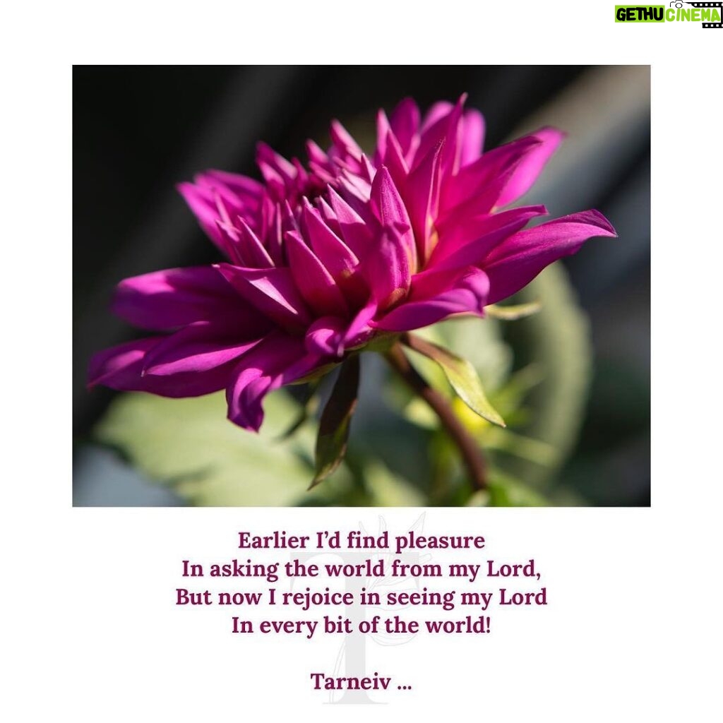 Mugdha Godse Instagram - Tarneiv Ji’s poetry... ❤️🌺🙏🏽 PC @hemantjkhendilwal To learn about transforming practices and teachings of my Master ‘Tarneiv’ Ji… 🙏🏽🙏🏽🙏🏽 Follow @belly_group #bellygroup #tarneivji #bellymaster #bellymeditation #meditation #meditationpractice #meditate #meditatedaily #pause #pauseandreflect #gratitude #gratitudeattitude #grateful #gratefulheart #joy #peace #happiness #happinessquotes #quotes #positivevibes #positivity #positivemindset #positivequotes #positivityquotes #Guru #Lord #prayer #guide #teacher