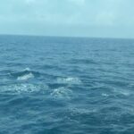 Mugdha Godse Instagram - Sunrise pics taken middle of the ocean….. 😍 experienced no network after so long!!! Life is so peaceful there! #gratitude #love #cruisetime #ocean #water #sealife #arabiansea #mumbai #empressa #cordeliacruises #celebfieapp