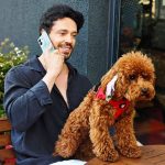 Murat Boz Instagram - Dünya onlarla çok daha anlamlı! 4 Ekim #DünyaHayvanlarıKorumaGünü'nü Bozzi ile kutluyoruz 🐕‍🦺