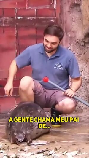 Murilo Couto Instagram - Será que foi a folha de eucalipto que me fez ver sereias?

#MuriloCouto #Humor #TheNoite
