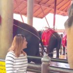 Myna Nandhini Instagram - With love ❤️😍 travel partner @gtholidays.in