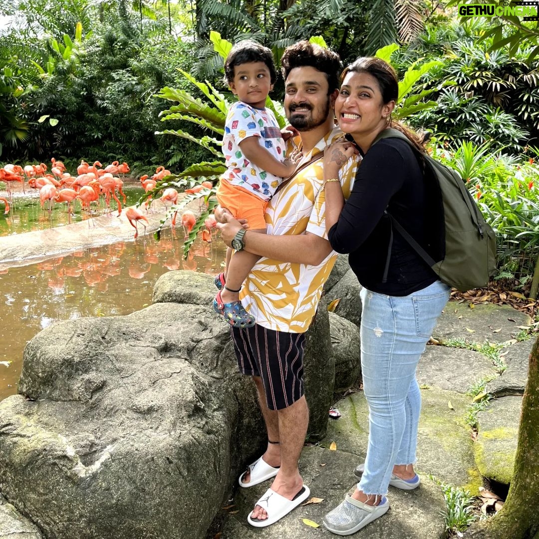Myna Nandhini - 87.6K Likes - #dhruvan #2ndbirthday #singaporetravel
Travel Partner - @gtholidays.in