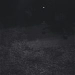 NF Instagram -