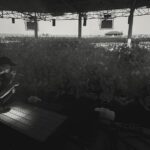 NF Instagram -