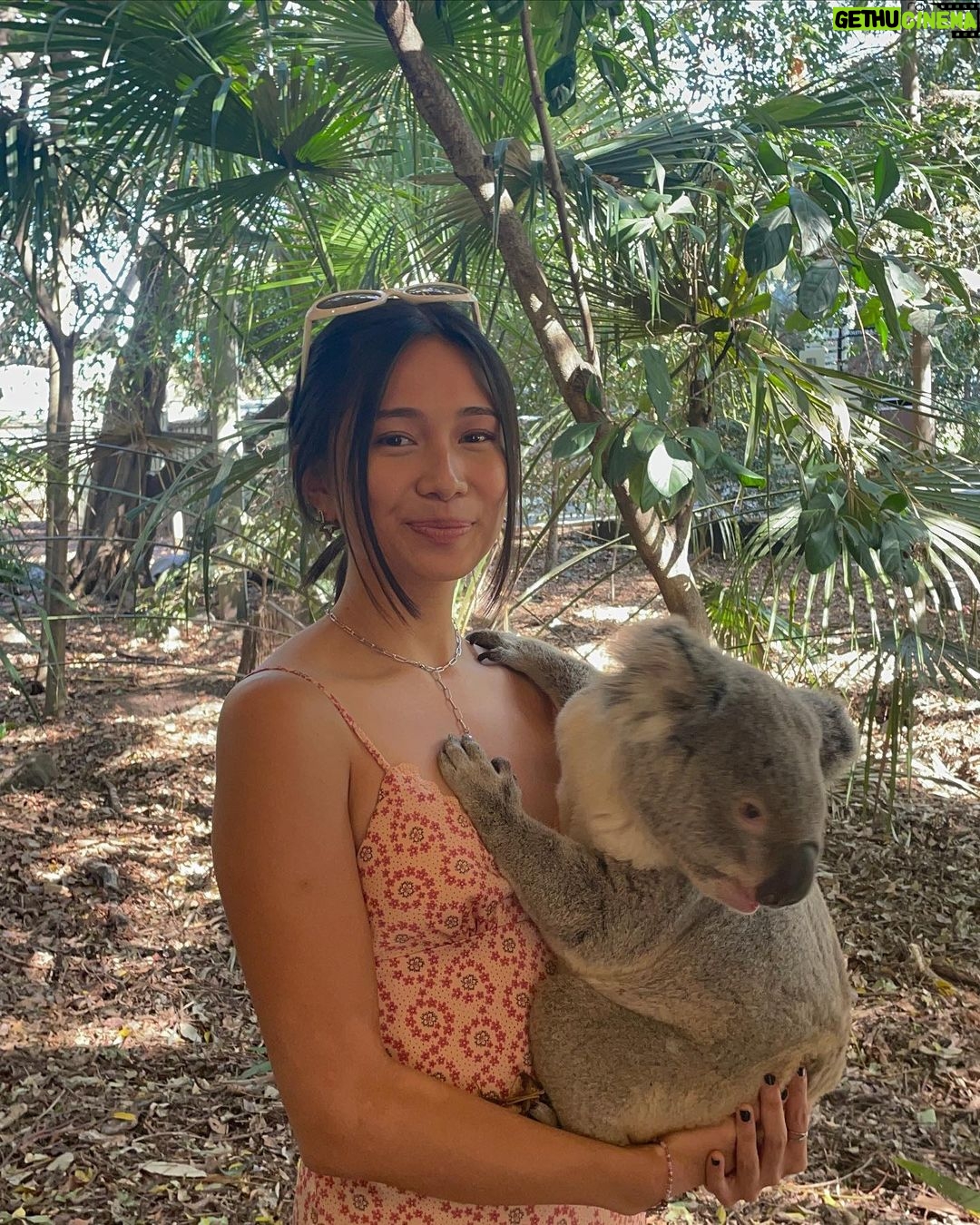 NIKI Instagram - fed the homies ❌ held the homies 🥲✅ Brisbane, Queensland, Australia