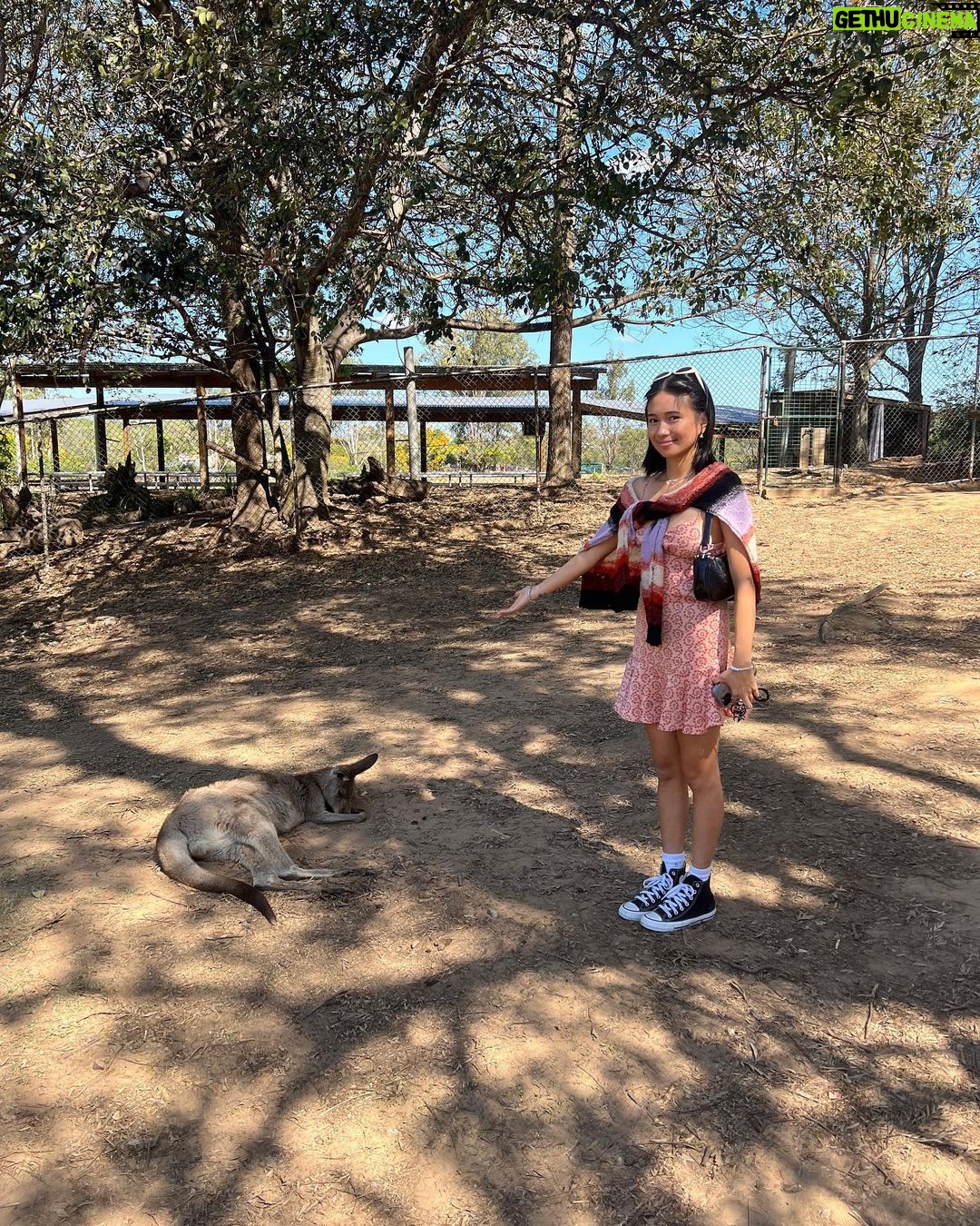 NIKI Instagram - fed the homies ❌ held the homies 🥲✅ Brisbane, Queensland, Australia