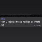 NIKI Instagram - fed the homies ❌ held the homies 🥲✅ Brisbane, Queensland, Australia