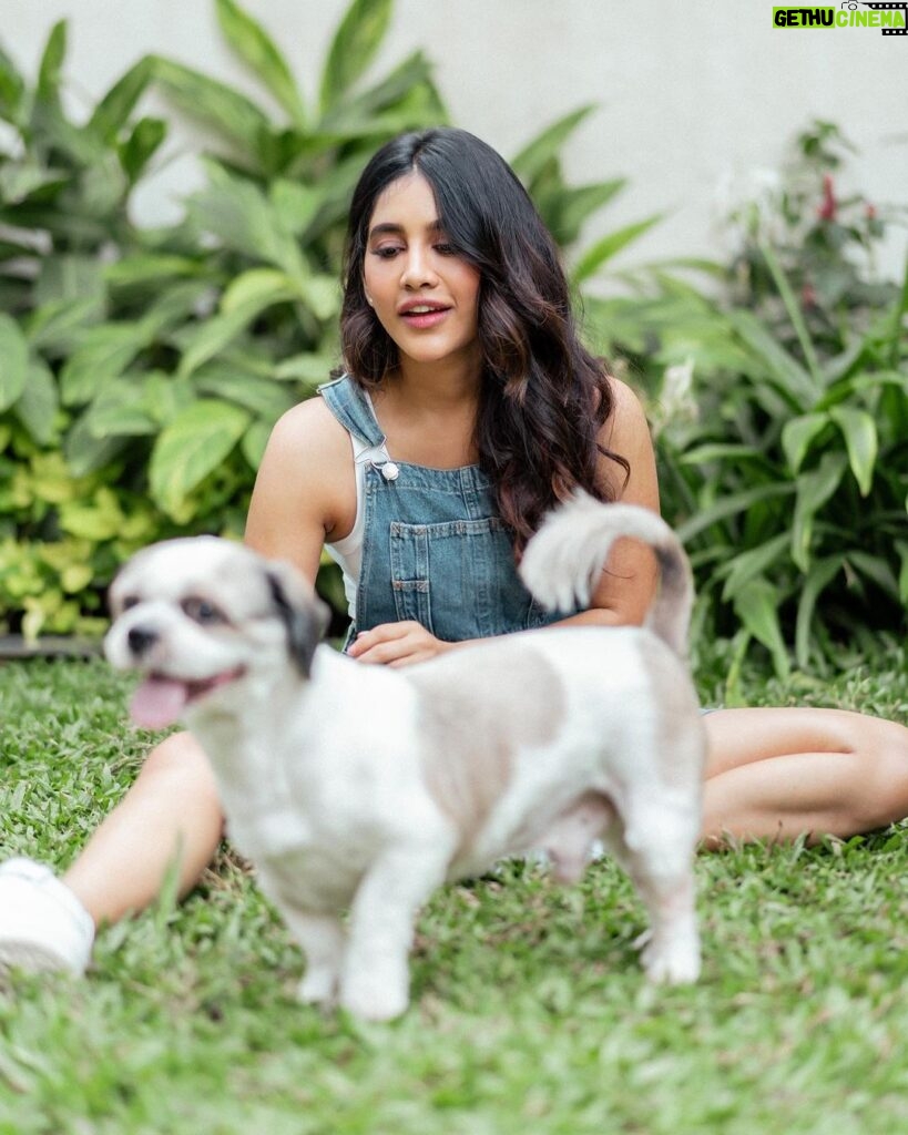 Nabha Natesh Instagram - CONFESSION OF A non-PET PERSON - my trainer @sriramrayabaram visited my sets with his boy Cruzo, who apparently is unhappy with his hair cut. Sigh ! Now this is coming from a person who hasn’t played with a dog in life ever. It's was instant joy, you know? super scared at first but was exhilarating. Fed him , ran behind him. Kept asking him ‘if he likes Hyderabad ?🤣. Clearly I don’t know how to talk to pets ! But soo much funnnn ! Isn’t that ‘never grow up / keep the child in you alive ‘ all about ? seeking new experiences ❤ With that my friends wishing you all a Happy Children’s Day ! ok bye 👋 : : : : Styling :@sandhya__sabbavarapu @team_sandhya Styling team : @styled_bysonali_ Photography : @puchi.photography Hair : @crafted_hair_by_her Makeup : @nehabagga21 Managed by : @theblinders.in