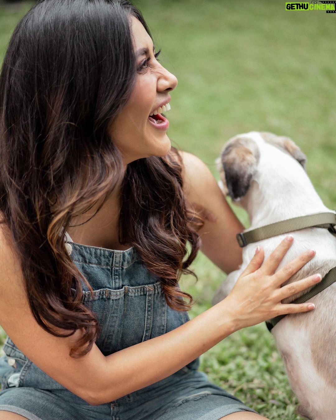 Nabha Natesh Instagram - CONFESSION OF A non-PET PERSON - my trainer @sriramrayabaram visited my sets with his boy Cruzo, who apparently is unhappy with his hair cut. Sigh ! Now this is coming from a person who hasn’t played with a dog in life ever. It's was instant joy, you know? super scared at first but was exhilarating. Fed him , ran behind him. Kept asking him ‘if he likes Hyderabad ?🤣. Clearly I don’t know how to talk to pets ! But soo much funnnn ! Isn’t that ‘never grow up / keep the child in you alive ‘ all about ? seeking new experiences ❤️ With that my friends wishing you all a Happy Children’s Day ! ok bye 👋 : : : : Styling :@sandhya__sabbavarapu @team_sandhya Styling team : @styled_bysonali_ Photography : @puchi.photography Hair : @crafted_hair_by_her Makeup : @nehabagga21 Managed by : @theblinders.in