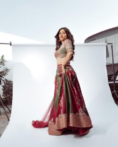 Nabha Natesh Instagram - hues of life. ft. Yours truly! : : : Outfit : @tanva_by_deepika Jewellery: @the_jewel_gallery @vcjew.ellers Styling : @sandhya__sabbavarapu @team_sandhya Photography : @puchi.photography Styling assistant : @styled_bysonali_ @styled_by_amer Hair : @crafted_hair_by_her Makeup : @kiranmakeup