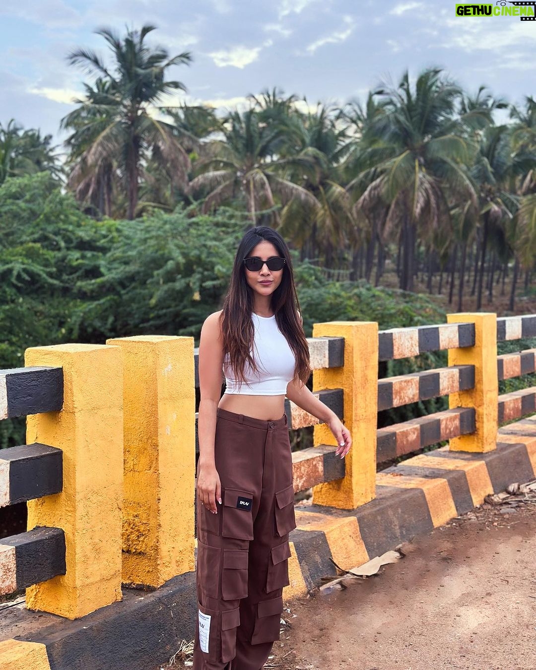 Nabha Natesh Instagram - I feel the road trips are incomplete if you don’t make random pit-stops for pictures . Right ? @nahushchakravarthi doesn’t agree but does it for me 🤣 Ok bye ! Bangalore Shimoga Highway