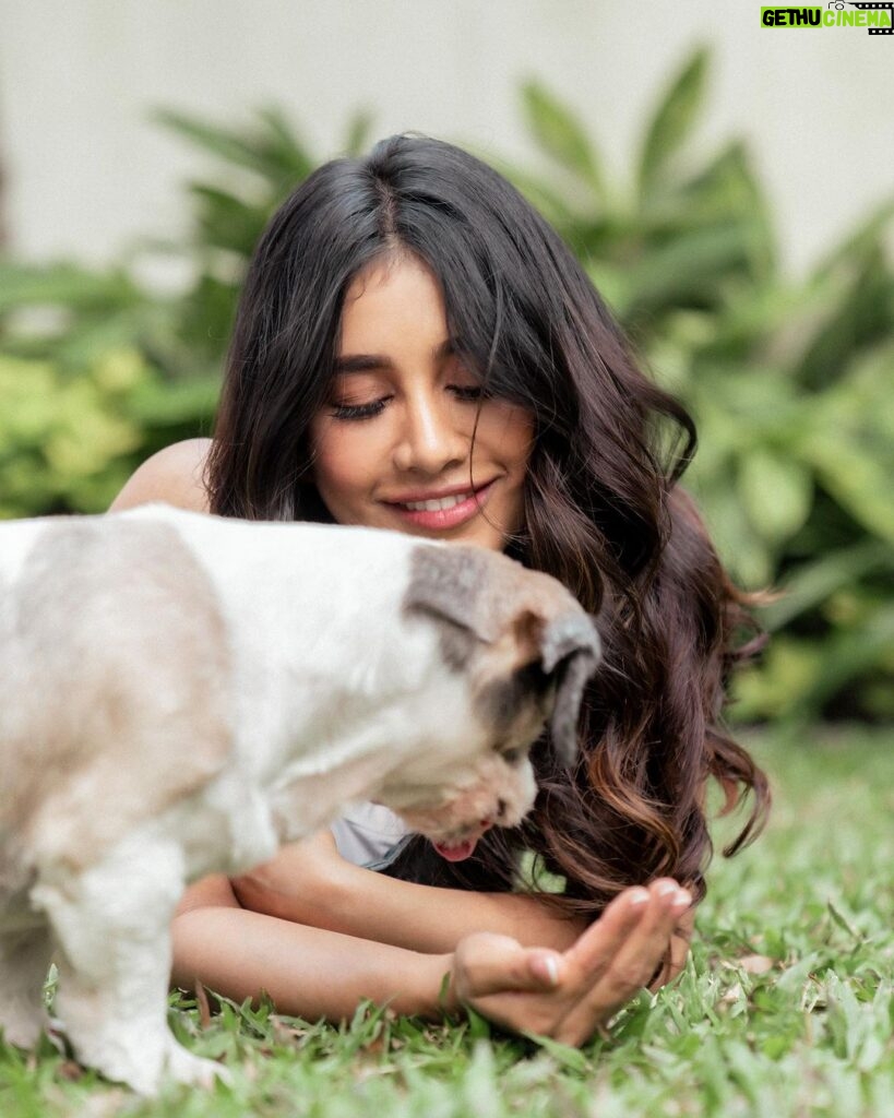 Nabha Natesh Instagram - CONFESSION OF A non-PET PERSON - my trainer @sriramrayabaram visited my sets with his boy Cruzo, who apparently is unhappy with his hair cut. Sigh ! Now this is coming from a person who hasn’t played with a dog in life ever. It's was instant joy, you know? super scared at first but was exhilarating. Fed him , ran behind him. Kept asking him ‘if he likes Hyderabad ?🤣. Clearly I don’t know how to talk to pets ! But soo much funnnn ! Isn’t that ‘never grow up / keep the child in you alive ‘ all about ? seeking new experiences ❤ With that my friends wishing you all a Happy Children’s Day ! ok bye 👋 : : : : Styling :@sandhya__sabbavarapu @team_sandhya Styling team : @styled_bysonali_ Photography : @puchi.photography Hair : @crafted_hair_by_her Makeup : @nehabagga21 Managed by : @theblinders.in