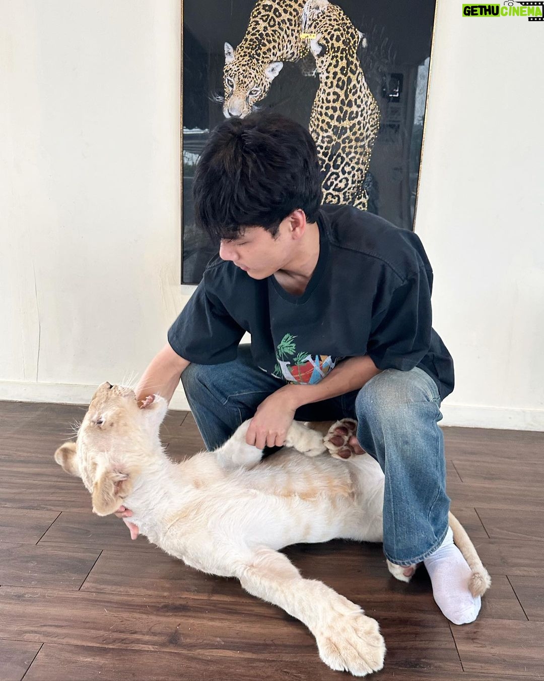 Nachat Juntapun Instagram - อยากได้หนู เป็นน้องสาว ไนล่าจังเลยยย