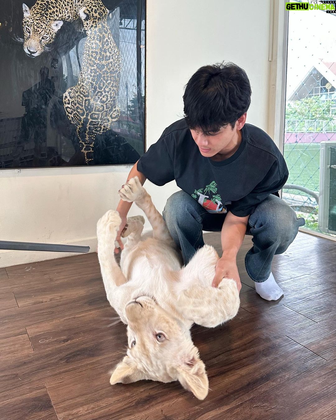 Nachat Juntapun Instagram - อยากได้หนู เป็นน้องสาว ไนล่าจังเลยยย