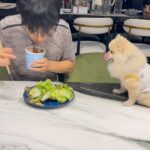 Nachat Juntapun Instagram – ชอบกินของหวาน ไม่ชอบกินผัก