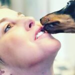 Nadia Toffa Instagram - Il buongiorno della mia Totó è sempre unico e speciale 🙏🏿 il vostro è stato un buon risveglio? Io sono della scuola a favore dei baci ai nostri amici pelosi (tutti compresi)🐶 voi? Vi fate sbaciucchiare? 😃 buona giornata e viva il freddo! (Amo il caldo , ma ora siamo a dicembre!!) vi sbaciucchio e vi strapazzo di coccole. Smakkkk 💋