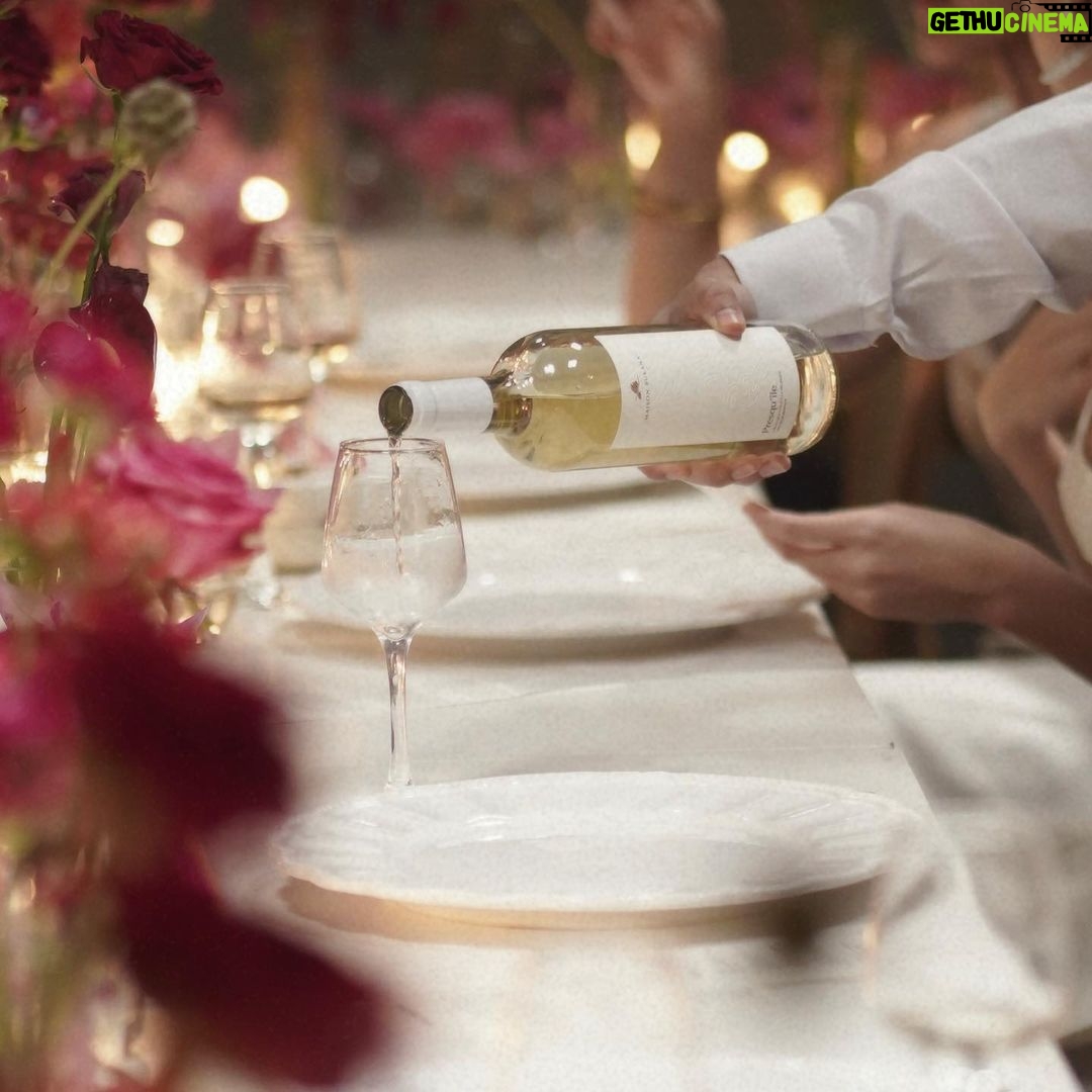 Nadine Lustre Instagram - A Twilight Soiree by @maisonbukanawines. Im overflowing with gratitude for everyone who joined and made the night so so special. salut to @kevin_charuel of @the_tasting_club, our sommelier maestro and @aaronisip @balaipalma for creating beautiful plant-based dishes, that went perfectly with our wines. special thanks to @iambobbiethegreat, @niceprintphoto, @gideonhermosa @houseofhermosaph, @kondwi.ph and @shoprentgala for being integral to this memorable evening. and finally a huge shoutout to the legends @kissthegirlevents and @coolgirlprojects, @littleknickii, @marchikins, @coasterjm and @mhay_earnshaw whom I collaborated closely for this project. Im still in awe of how we not only pulled this one off but exceeded our expectations 🍷 Kondwi PH