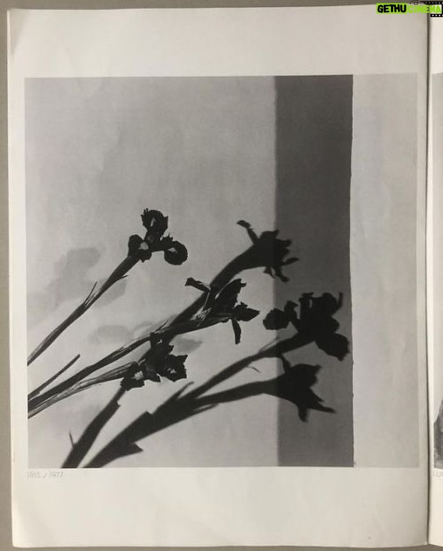 Nadine Lustre Instagram - Créatis. Robert Mapplethorpe issue no7 1978