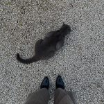 Nadine Lustre Instagram - catto
