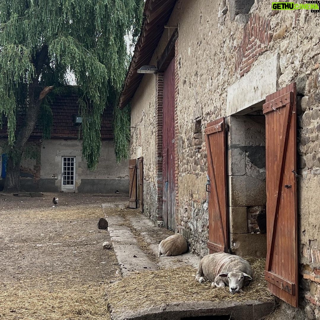 Nadine Lustre Instagram - new friends @sanctuairedouages Domaine des Douages