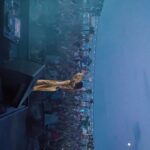Nadya Dorofeeva Instagram - Яке класне відео мені надіслали з Одеси 🎥: @maximdenysenko А 16 липня побачимось у Києві на благодійному Nova Fashion Fest . Я вас чекаю!
