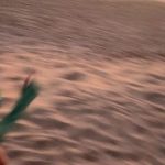 Nah Cardoso Instagram - vivi demais e fui muito feliz todos esses dias de @reveillon.amore ✨ Praia de Maracaipe - PE