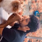 Namish Taneja Instagram - No matter how you’re feeling, a little dog gonna love you ❤️.