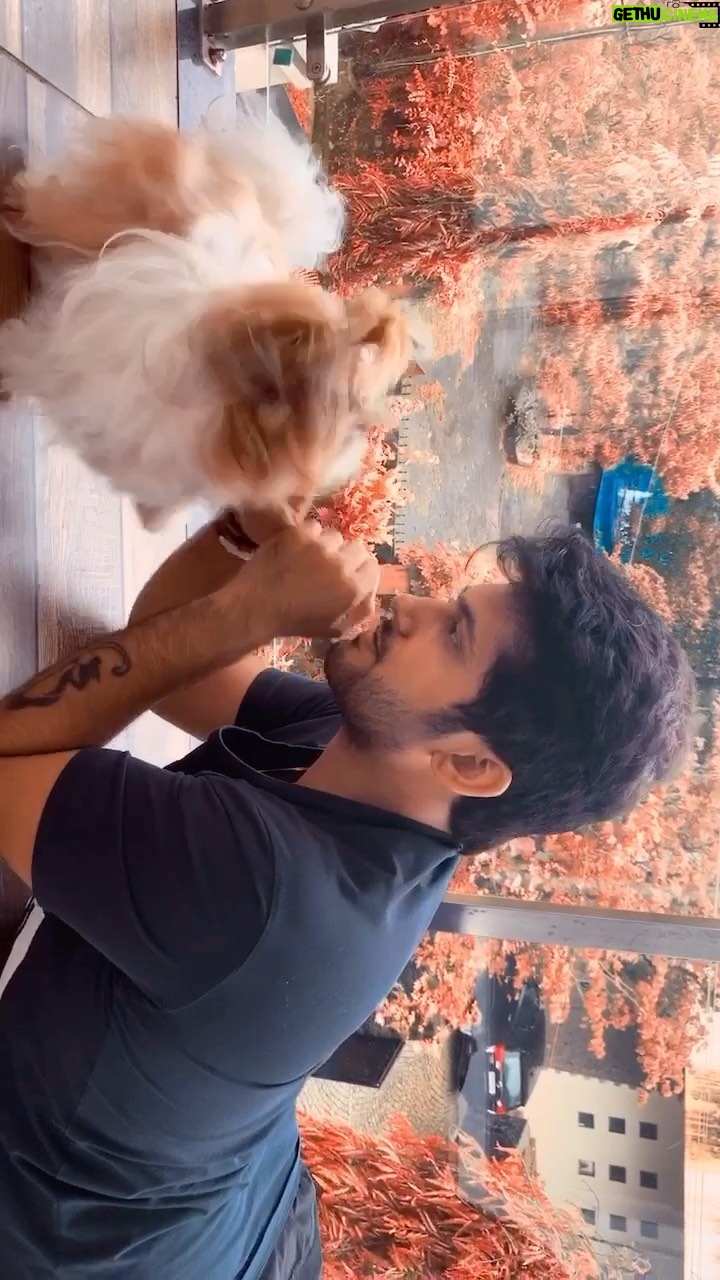 Namish Taneja Instagram - No matter how you’re feeling, a little dog gonna love you ❤️.