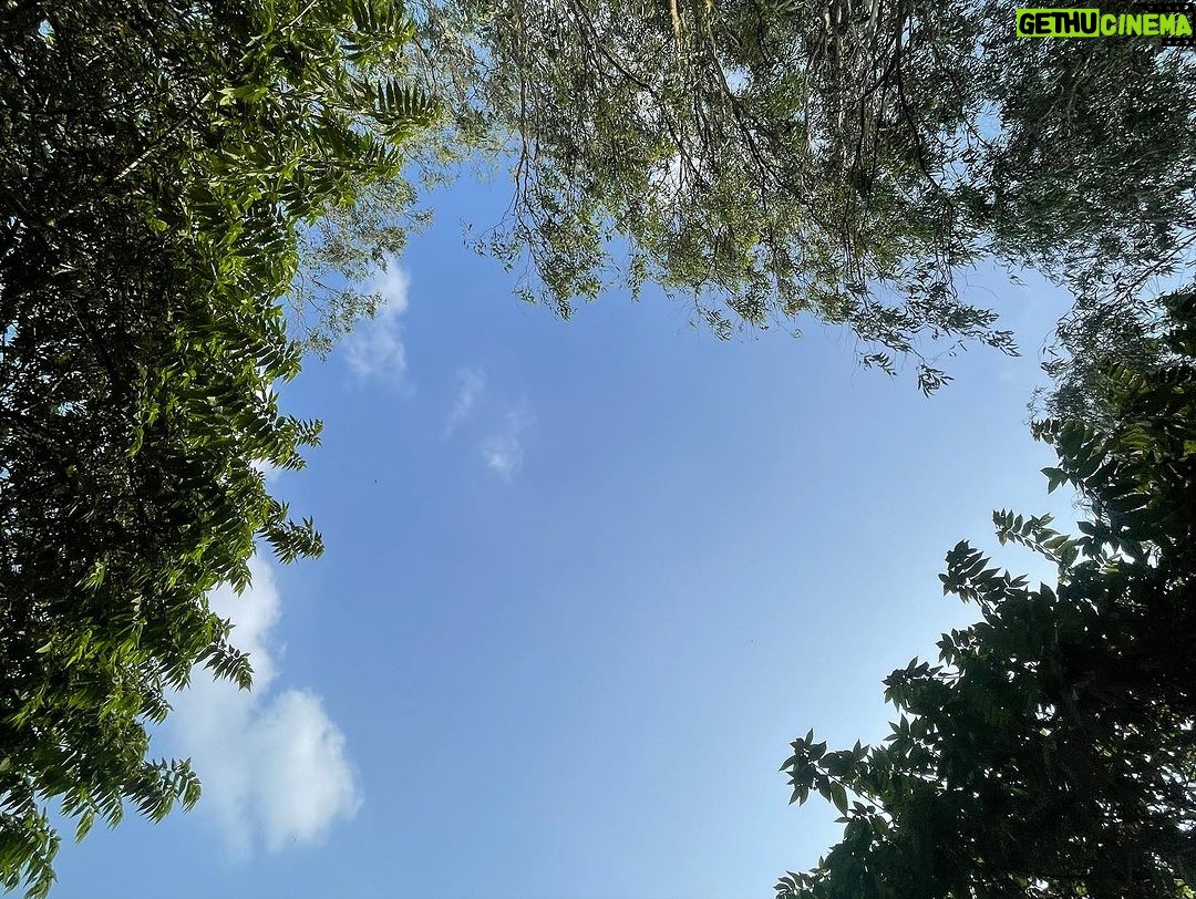 Namish Taneja Instagram - Almost everything will work again if you unplug it for a few minutes. . . . . @fazlaninaturesnest #allbecauseofmyfans Fazlani Nature's Nest - The Wellness Retreat