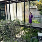 Namrata Shirodkar Instagram – @tilara_polyplast’s Polycarbonate Sheets have transformed my roofing space! With high durability, transparency, and weather resistance all in one, they’re an absolute must-have.