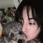 Nana Instagram - 문구를 입력하세요…