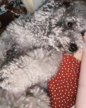Nana Instagram - 문구를 입력하세요…