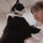 Nanase Nishino Instagram - お祝いのことばを たくさんありがとうございます！！🙇‍♂️ 27歳も楽しく過ごします！ 日付け変わっちゃった かりんちゃんお誕生日おめでとう🗽💗 @karin___ito
