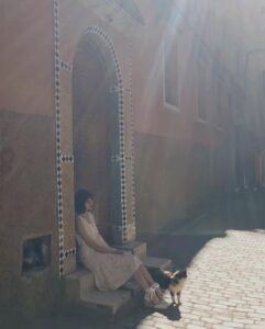 Nanase Nishino Instagram - オレンジ色の表紙🦁🍊 non-no 3月号が発売中です！👏 ノンノモデルとして最後になる表紙を担当させていただきました。 「ななせるふ」 わたしの連載を 別冊にぎゅっと 可愛くまとめていただいた物も付いております。 楽しい嬉しい思い出がもう〜いっぱいです✨ ノンノをきっかけにわたしのことを知っていただいたり、今まで愛読してくださった皆さまへ ありがとうの気持ちが溢れます。 これからのノンノも楽しみにしながら、わたしも頑張ります！ 🇲🇦三毛猫ちゃん #nonno