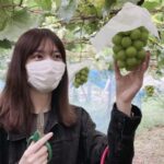 Nanase Nishino Instagram - 素晴らしい一年でした〜！ お世話になった皆さま ありがとうございました😊🎉