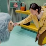 Nanase Nishino Instagram - 1階バッグエリアにお父さんライオンがいて、 2階シューズエリアにはお母さんライオン の、2箇所あります🦁🦁 #tods