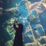Nanase Nishino Instagram - #男鹿水族館gao