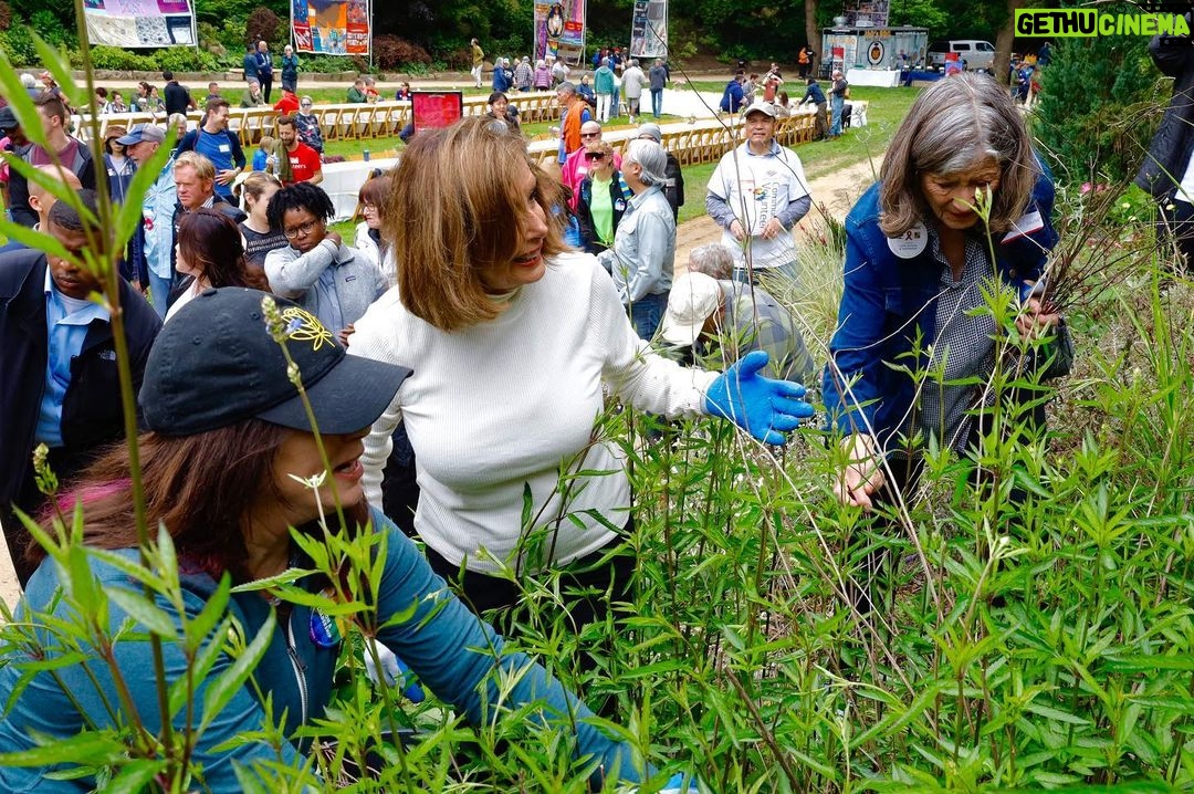 Nancy Pelosi Instagram - It was an honor today to join leaders, advocates and friends for a community volunteer workday at the National AIDS Memorial to preserve a monument to the beautiful souls lost to the HIV/AIDS epidemic. In memory of all those lost, we renew our fight against this deadly virus.