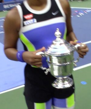 Naomi Osaka Instagram - some tennis memories over the past year that mean a lot to me.
