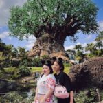 Naomi Watanabe Instagram - The first Disney World! I was more excited than the kids around me at Disney World 😂 Because of that, my 34-year-old body reached its limit in the evening 😂 初ウォルトディズニーワールドリゾートFlorida🥹 @littlesunnybiteyoppy とまじテンションぶち上げ☺️ 1日目はアニマルキングダムに💫 アトラクションの他にいっぱい動物も住んでるエリアにょ！ ディズニーランドではシンデレラ城だけど、アニマルキングダムでは大きな木がメインであったにょ😂 ここにしかないアバターのアトラクションがまじ良過ぎてさ、感動してガチで泣いたんだよわたくし😂😂そしたら隣のおじさん引いてた😂それぐらいよかったからぜひみんなに乗ってほしい😂😂 50周年記念みたいでグッズ大量に買った！Tシャツも現地で買ったんだけど、当時の再現した(?)レトロなお土産いっぱい売っててかわいかった🤩💓 あと日本と違うところは、来てる人たち誰一人映えみたいな格好してなくて、みんなジム行く戦闘スタイルな格好できてたw暑いし全部周るってなったら体力いるもんねw あと基本家族で来てた！遠いし高いし泊まりがけだからかな？ 並んでる時に、いろんな子供たちと一緒にはしゃいでたお陰で34歳、夕方にはクソグロッキーw てか夕方はそれぞれの親も子供もみんなグロッキーだった😂😂それぐらいぶちテンション上がる夢の世界でした☺️💓 みんなのコメントお待ちしております😄 質問もあれば答えますw誰 次の日はまた別のワールドに行ったにょ🤩お楽しみに #disneyworld #ディズニーワールド Disney World, Orlando Fla