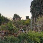 Naomi Watanabe Instagram - The first Disney World! I was more excited than the kids around me at Disney World 😂 Because of that, my 34-year-old body reached its limit in the evening 😂 初ウォルトディズニーワールドリゾートFlorida🥹 @littlesunnybiteyoppy とまじテンションぶち上げ☺️ 1日目はアニマルキングダムに💫 アトラクションの他にいっぱい動物も住んでるエリアにょ！ ディズニーランドではシンデレラ城だけど、アニマルキングダムでは大きな木がメインであったにょ😂 ここにしかないアバターのアトラクションがまじ良過ぎてさ、感動してガチで泣いたんだよわたくし😂😂そしたら隣のおじさん引いてた😂それぐらいよかったからぜひみんなに乗ってほしい😂😂 50周年記念みたいでグッズ大量に買った！Tシャツも現地で買ったんだけど、当時の再現した(?)レトロなお土産いっぱい売っててかわいかった🤩💓 あと日本と違うところは、来てる人たち誰一人映えみたいな格好してなくて、みんなジム行く戦闘スタイルな格好できてたw暑いし全部周るってなったら体力いるもんねw あと基本家族で来てた！遠いし高いし泊まりがけだからかな？ 並んでる時に、いろんな子供たちと一緒にはしゃいでたお陰で34歳、夕方にはクソグロッキーw てか夕方はそれぞれの親も子供もみんなグロッキーだった😂😂それぐらいぶちテンション上がる夢の世界でした☺️💓 みんなのコメントお待ちしております😄 質問もあれば答えますw誰 次の日はまた別のワールドに行ったにょ🤩お楽しみに #disneyworld #ディズニーワールド Disney World, Orlando Fla