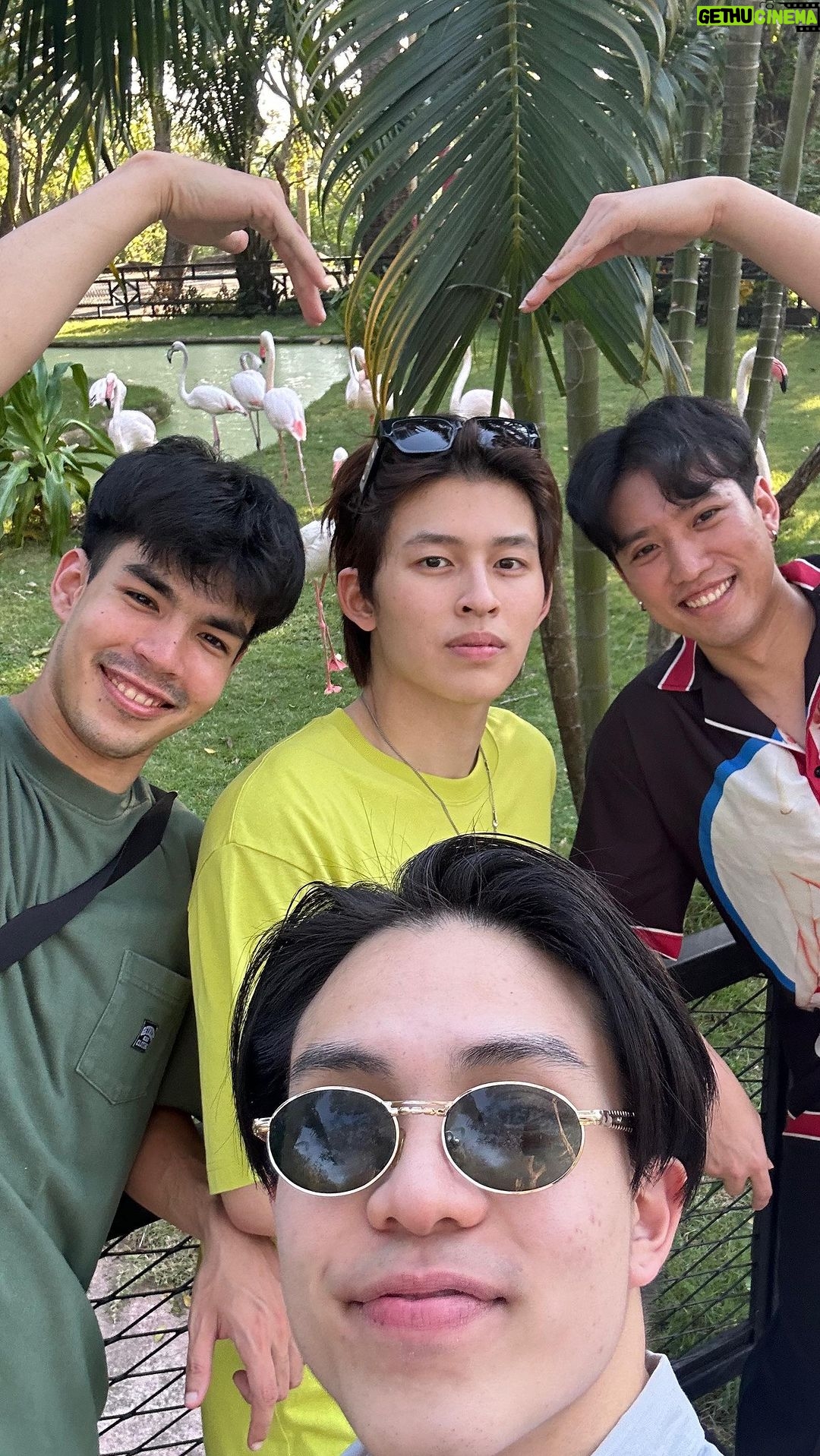 Naravit Lertratkosum Instagram - JGR with flamingoš¤