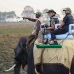 Narendra Modi Instagram - Splendid Kaziranga! #IncredibleIndia