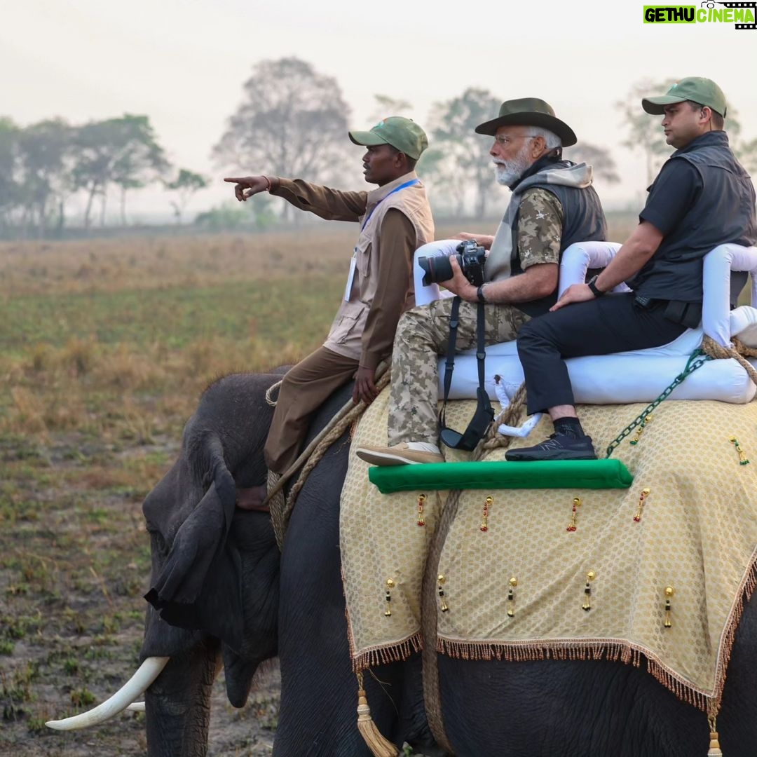 Narendra Modi Instagram - Splendid Kaziranga! #IncredibleIndia