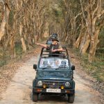 Narendra Modi Instagram - Splendid Kaziranga! #IncredibleIndia