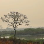 Narendra Modi Instagram – Splendid Kaziranga! #IncredibleIndia