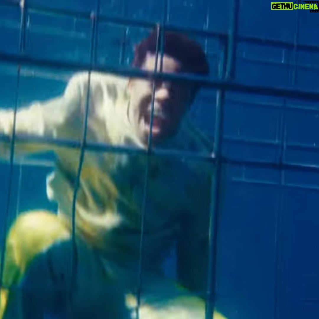 Nasty C Instagram - So apparently a lot of people think this scene from “Endless” was CGI & that I wasn’t really in the ocean WITH SHARKS! I can’t assure you it’s all 1000000% !! Go have a look on YouTube