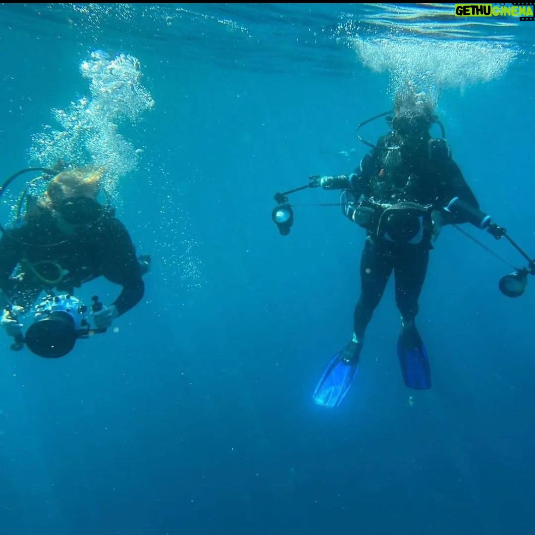 Nasty C Instagram - So apparently a lot of people think this scene from “Endless” was CGI & that I wasn’t really in the ocean WITH SHARKS! I can’t assure you it’s all 1000000% !! Go have a look on YouTube